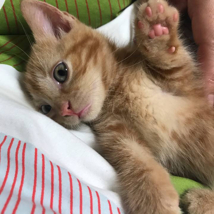 D3651ccc 1105 4c22 bcf1 0deb5f0ad337