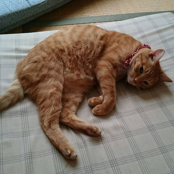 D3657cfc 6231 44f8 8e31 a3e21d967b48