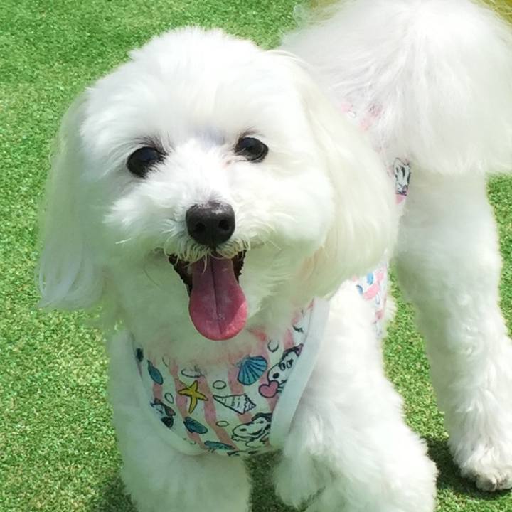 D3659206 1c29 43f5 87aa 89a9fb20da89