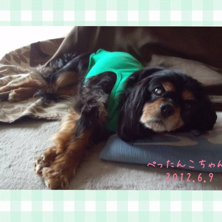 D3659d9d 57ac 4473 b4cc 26333732c931