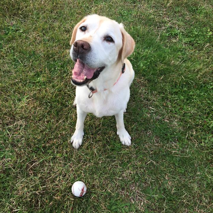 D365e4af 70e4 4695 92f1 531e02598703