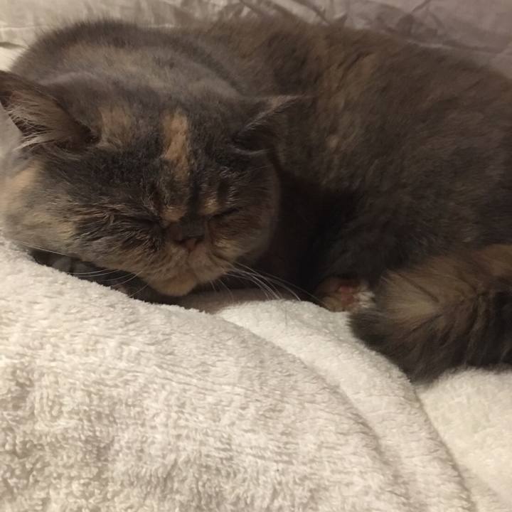 D366a02b 514d 4012 a04c ebf26650af0f