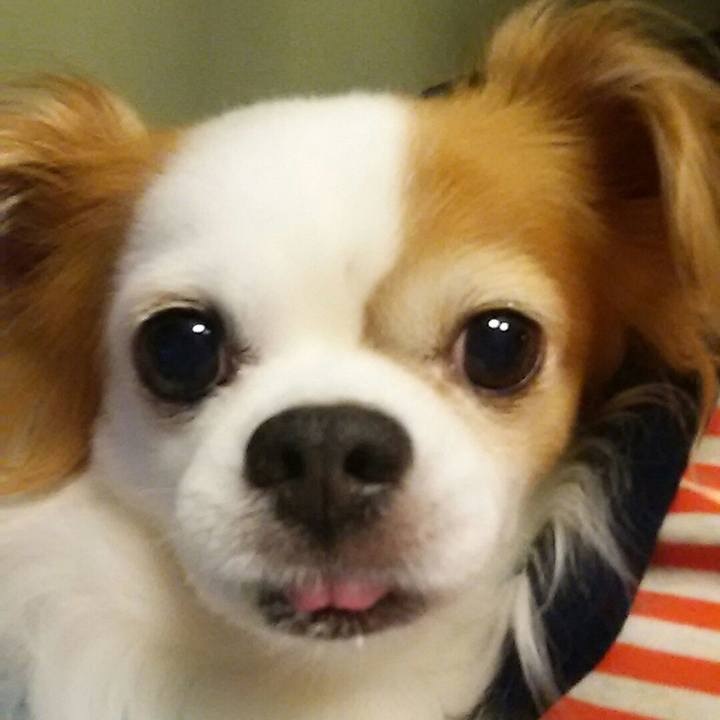 D3672946 8136 4372 b151 a3c0396a475d