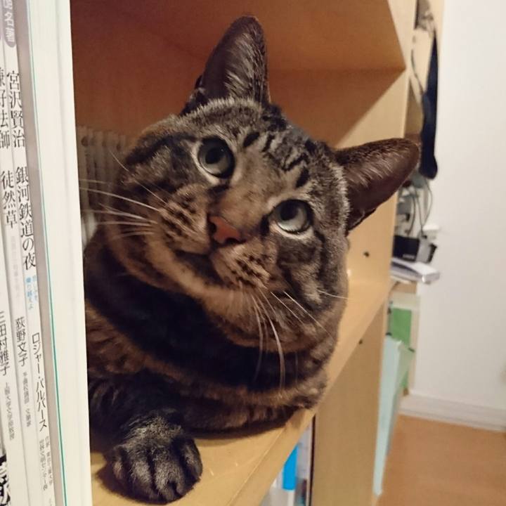 D3678418 edc6 43c1 99c1 afa9aff8de66