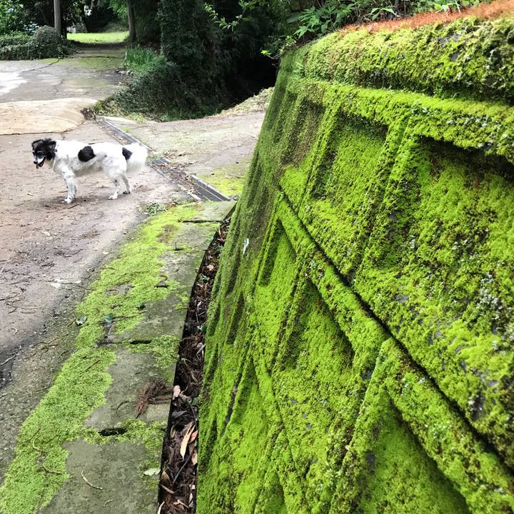 D3682382 8325 4886 82f5 3625a89b70c9