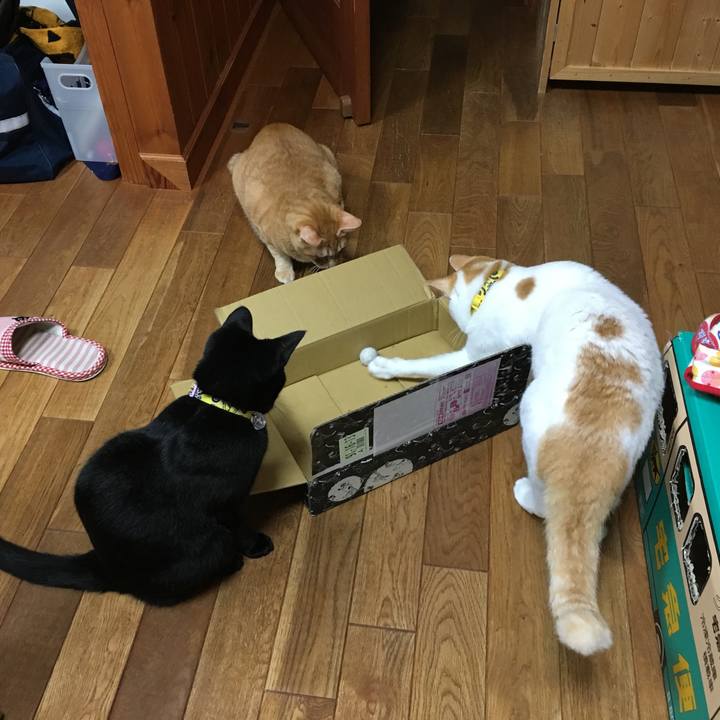 D368573d 5ea3 4e61 bcfb 4c063be8ae06