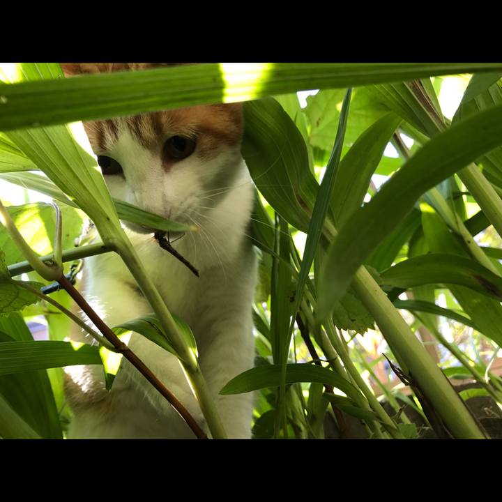 D368e284 e695 41b2 812e 3ca25a18c6f9