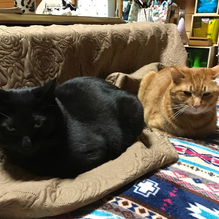 D368edcb 4b08 4492 8d42 b27ceeed2e92