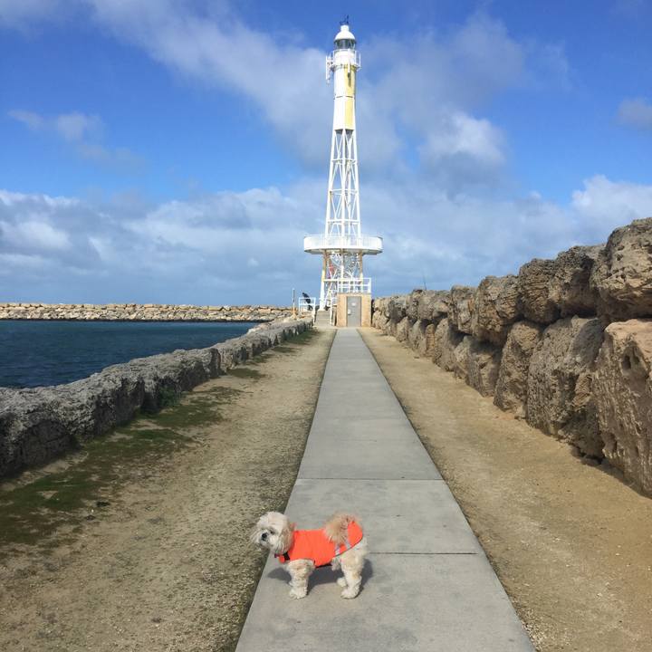 D3698141 438f 4a5a b2e0 a0a93edf4829