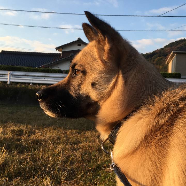 D369f82d a544 4ea0 a03d 51c1e21806c3