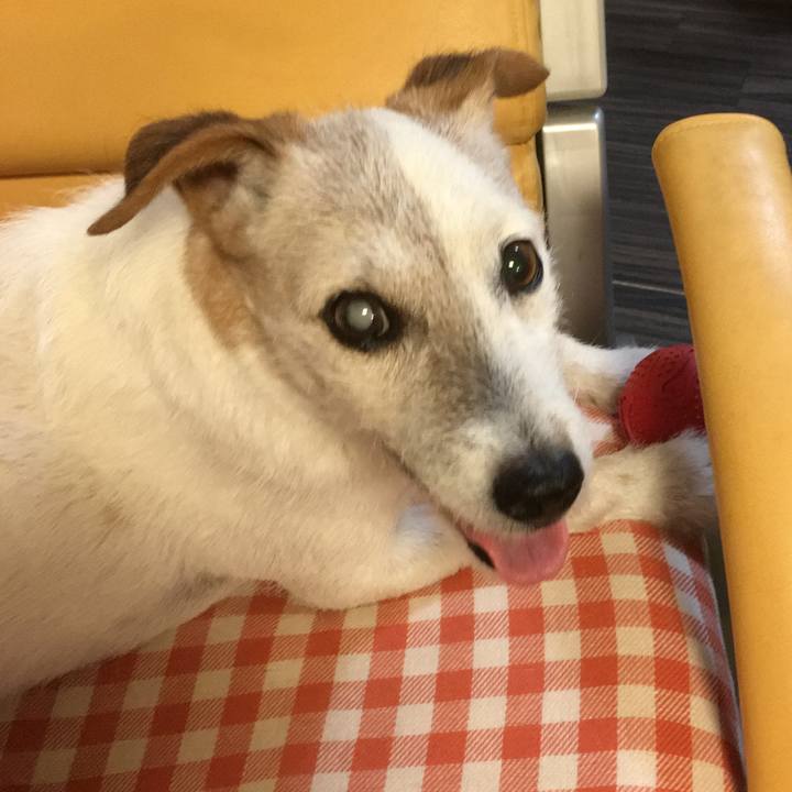 D36a0e57 44d9 4b8f b5d3 04f65ae84334