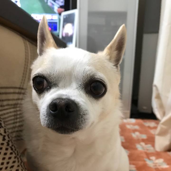 D36ad626 744f 4677 8f6a 203871bdc088