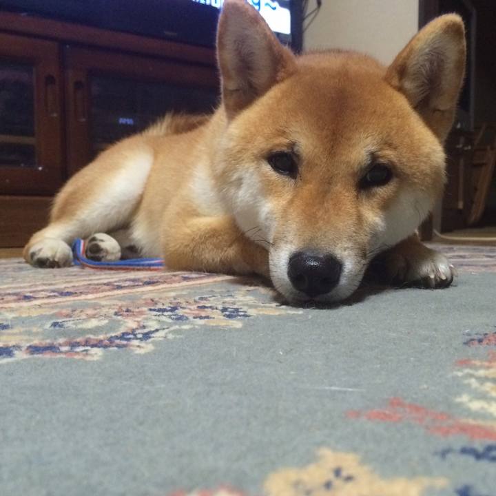 D36ae637 d217 4cfd a3c9 2a70696d9da0