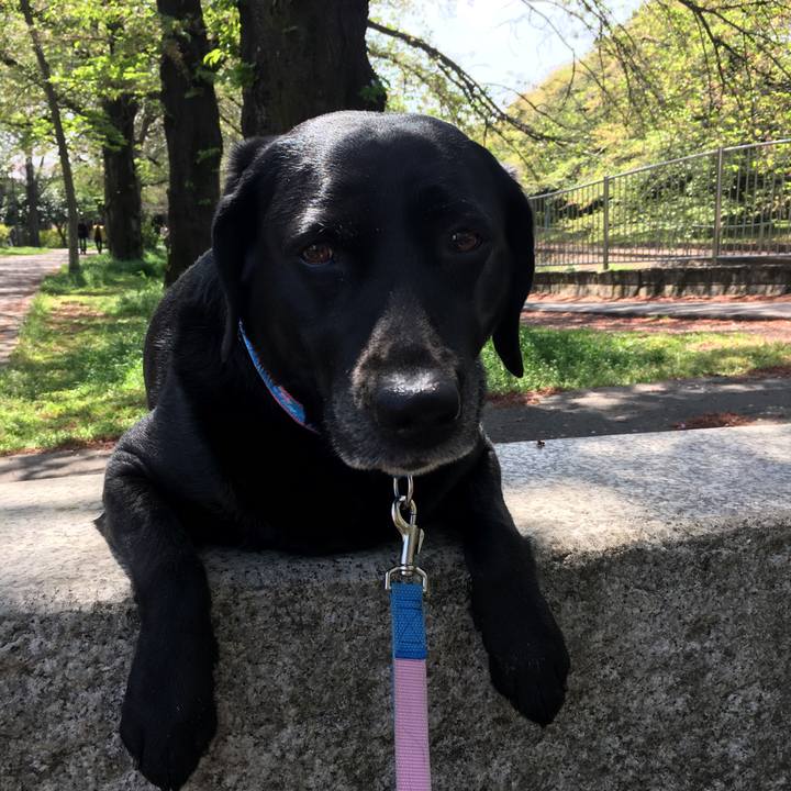 D36b8528 d268 4d51 bbd4 97b21f38bda5