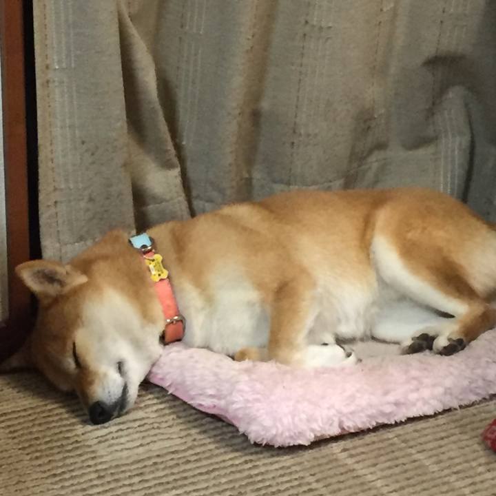 D36bc28f f731 482e ba24 b2c6578583ff