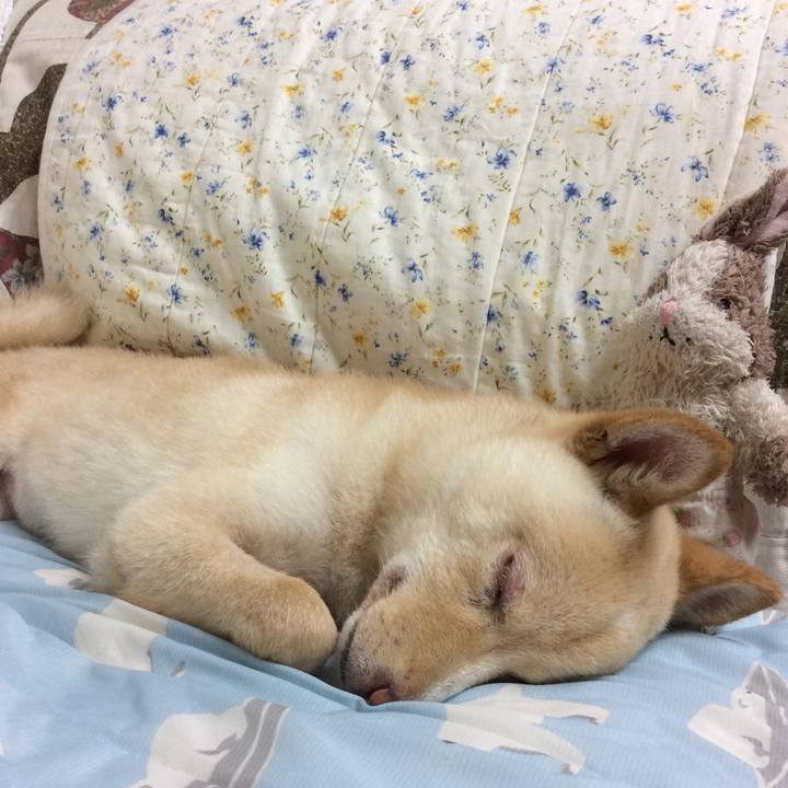 D36bfed0 824c 4627 9181 33429ae8eb30