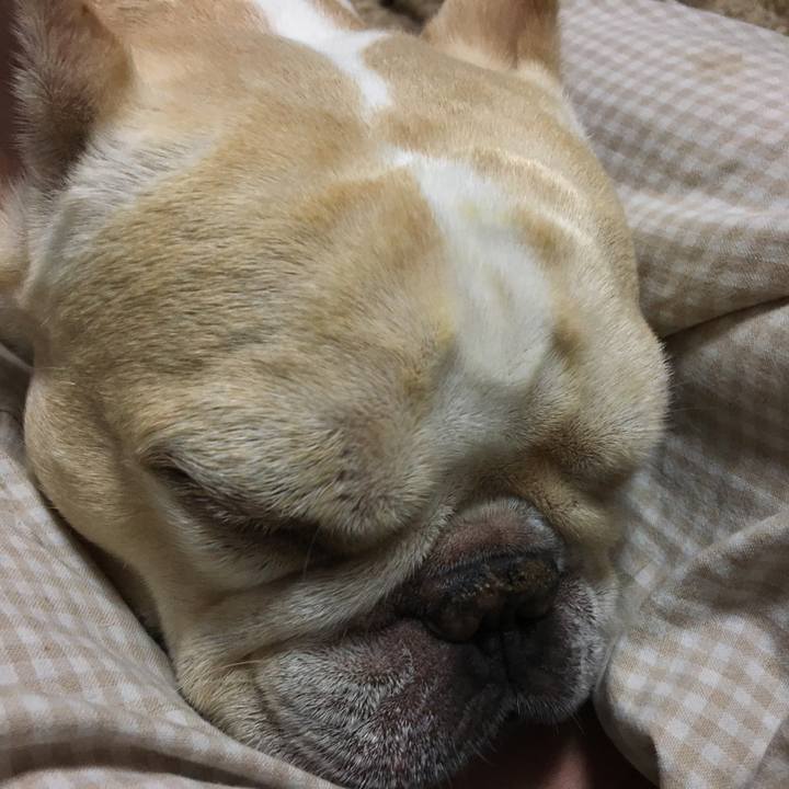 D36c1ad0 dba7 4ae9 9ad4 de966ceed592