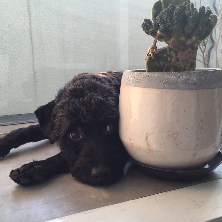 D36c8cc3 bd18 45d9 b425 131a2b88fef9