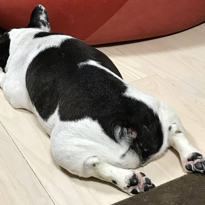 D36cadce 11c0 486d be46 2be53295ac9d