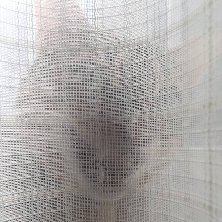 D36cf0ba bf20 40ec b55b 5493d022d598