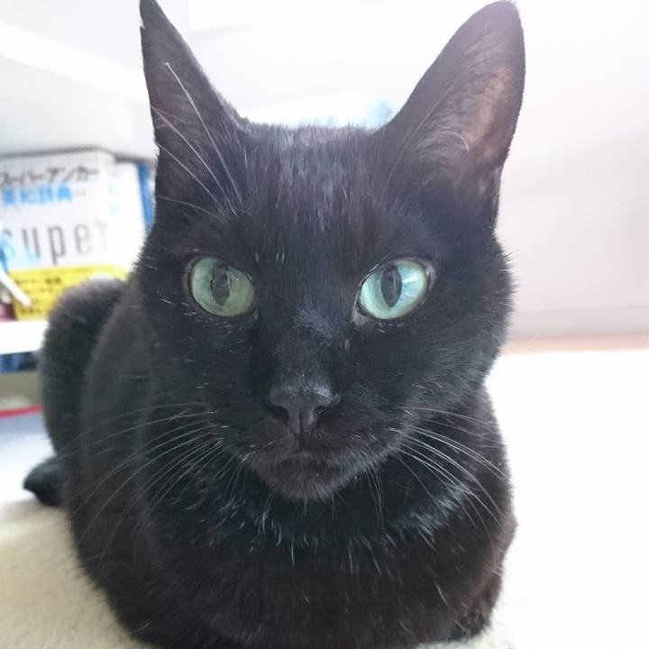 D36d49da 9fcd 470f 9c5a 2c2a214f216c