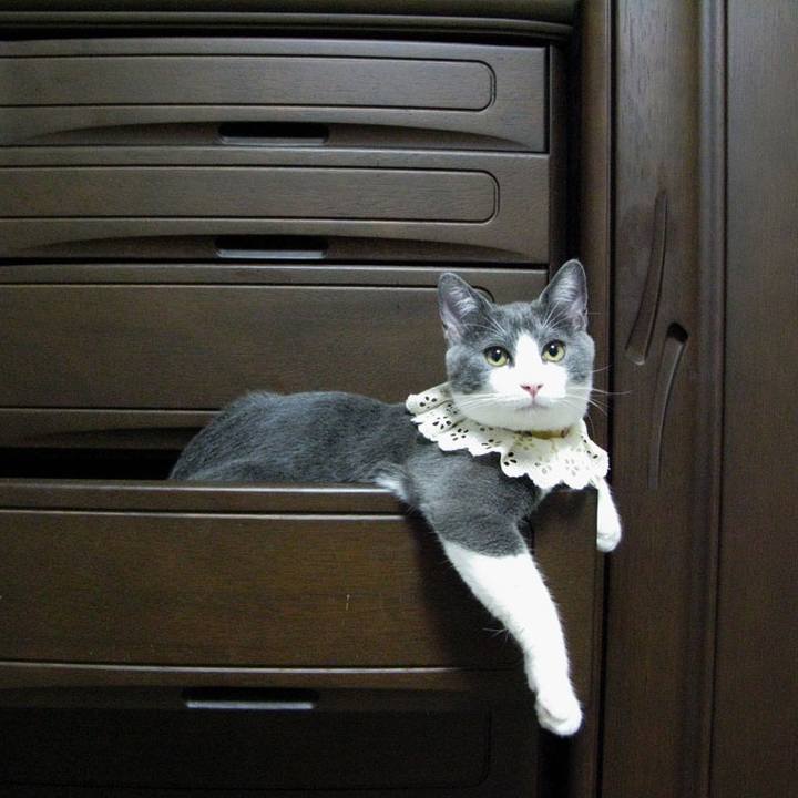 D36e1e32 2473 4328 9786 19b13c867782