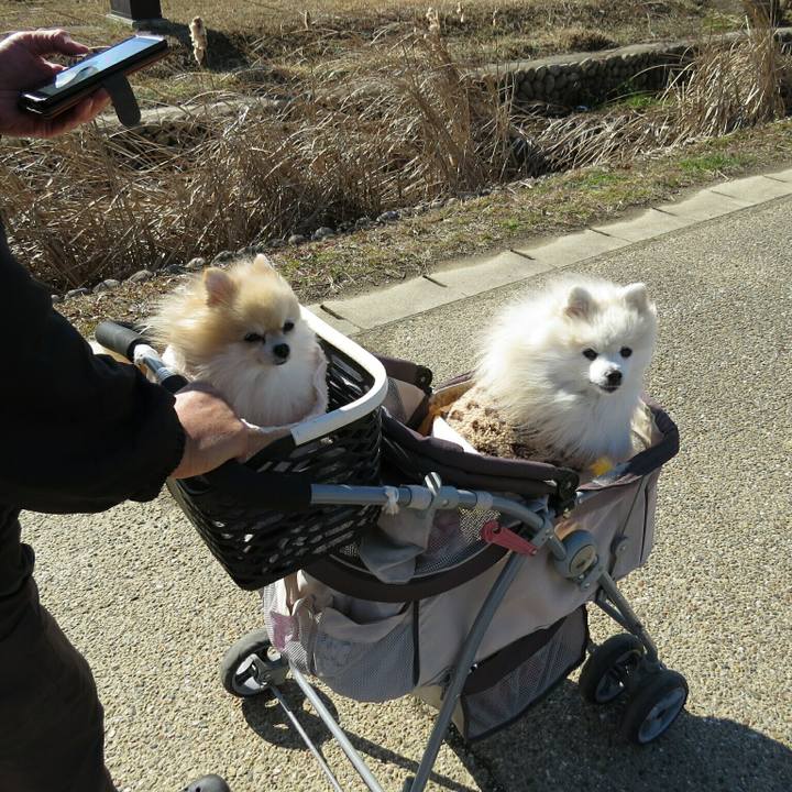 D36e3133 9089 4766 9323 8b51e7dd434b