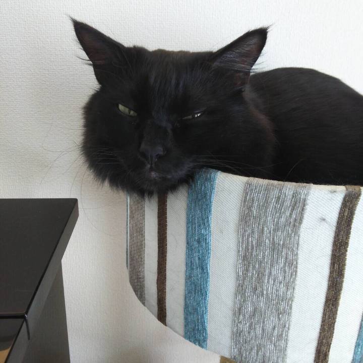 D36e4e54 2e3e 4654 a4de ffe6b8129644