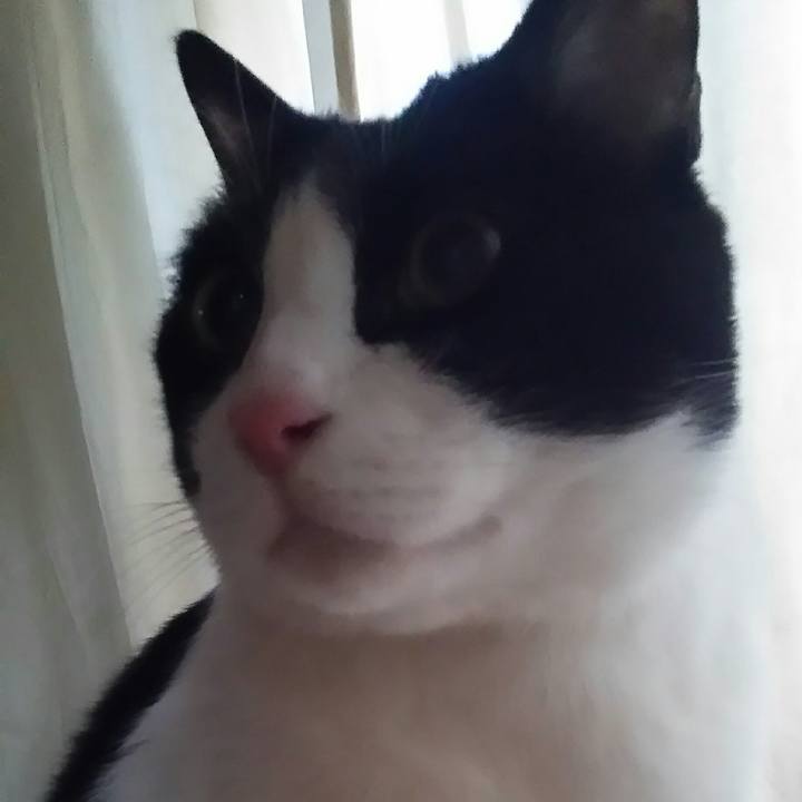 D36e52f7 ec07 416d 93ee 8705fb8667ae