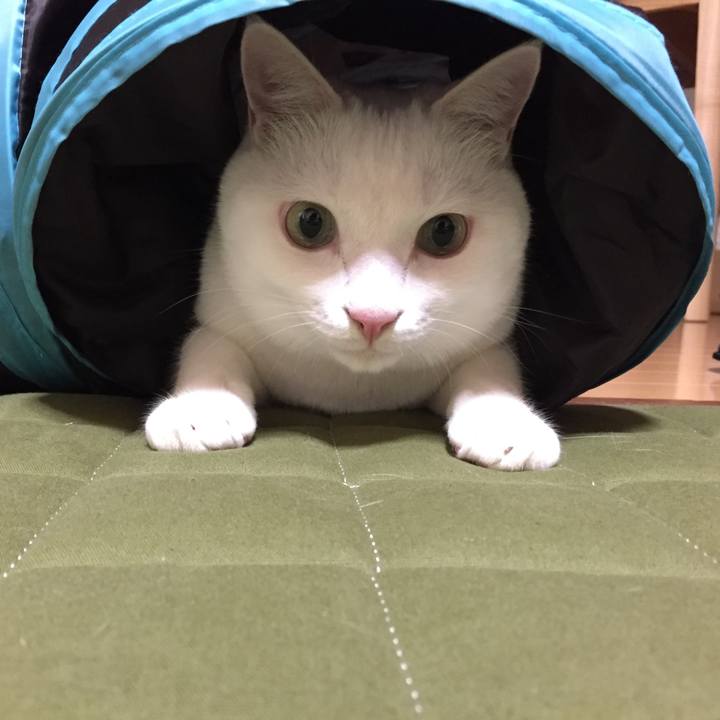 D36ef570 3d8b 4e5d 942a 27ff3277d0bb