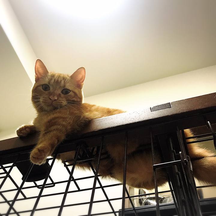 D36f088e e858 41f4 b8d3 d94aac87948d