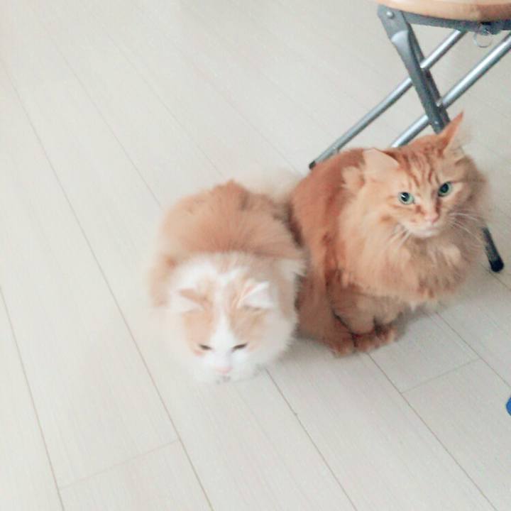 D36f6b69 6684 4f5e aa34 7d25f268a613