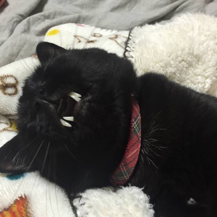 D370267e c3ab 4337 9951 ca48e5b36cfc