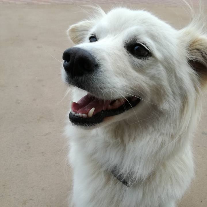 D37057e8 6c03 4f23 97f2 223e91f38e16