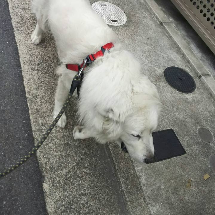 D3707fae 9404 4660 ae2e ffea5424abcb