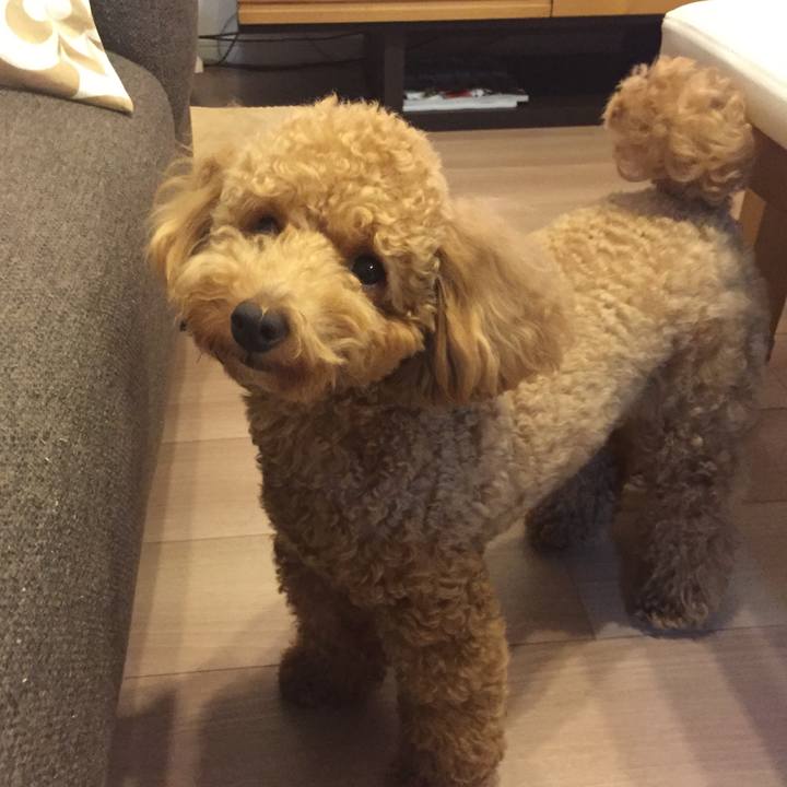 D370c8f0 a3a9 4aa1 ac78 9eeb29b8561d