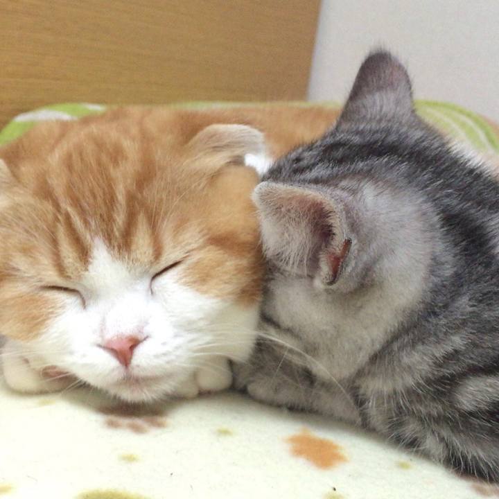 D370f4bd d006 4f02 8fdd 66abccf36093