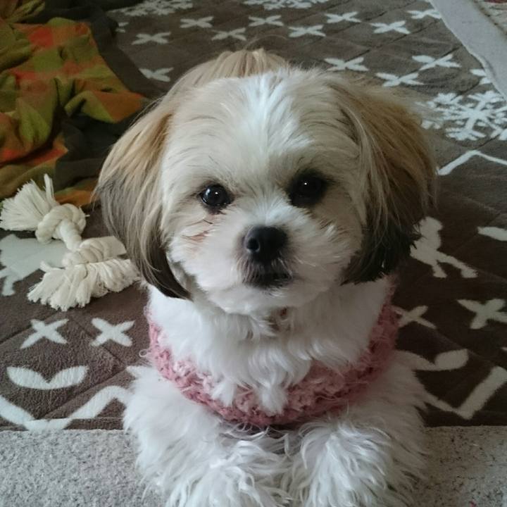 D37113ed b3e5 494c a67e 6682db45ce75