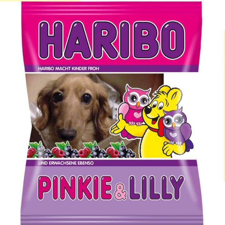 D3712637 3c60 4db6 8dee bc783e92fdfb