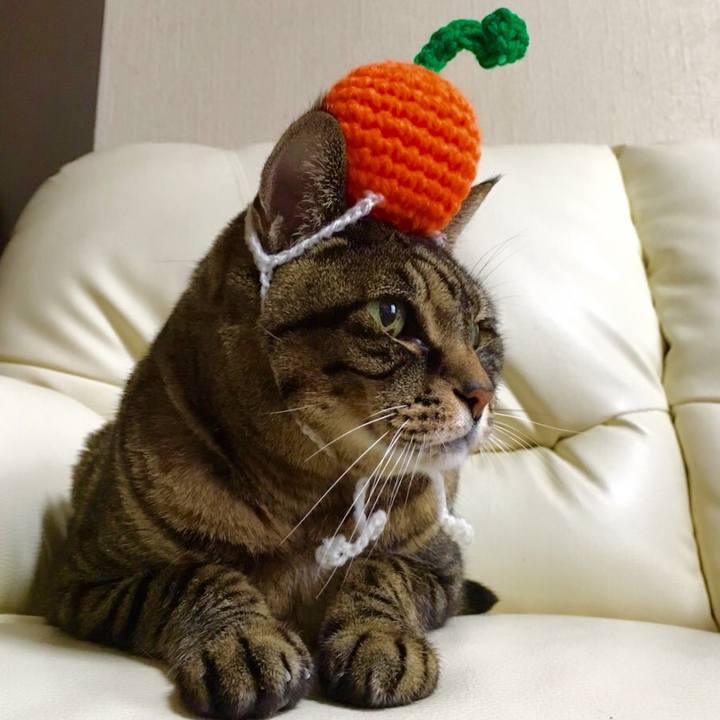 D371656f 0c5b 466d 8ba0 2f89c27fe48d