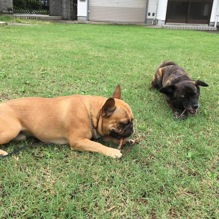 D3728821 04d0 4e40 a810 e6cdd8fa494c