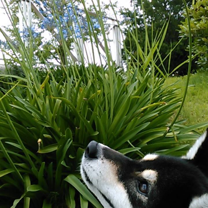 D372896c 1031 4a94 9d35 12db6bc17efa