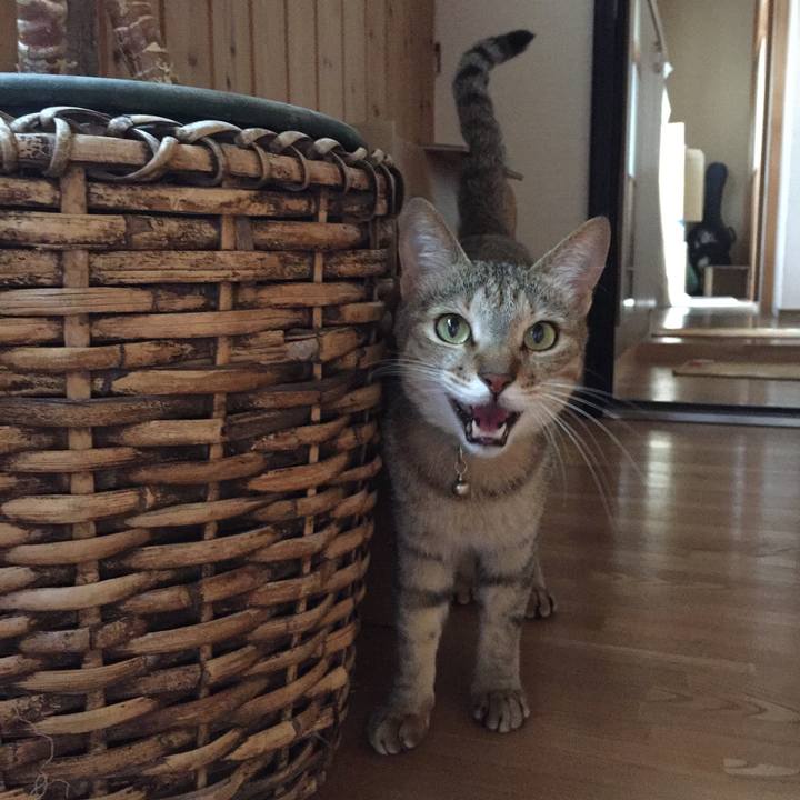 D372cc8d 030f 4789 8140 175d98e4d72f