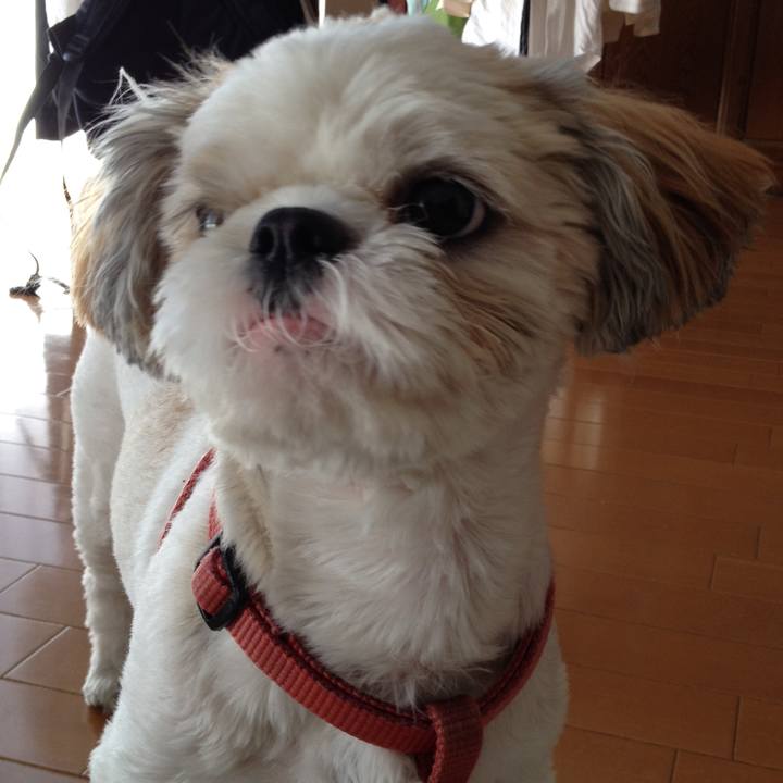 D372e74e 8a99 4995 93ca 2b8ecc7be6fb