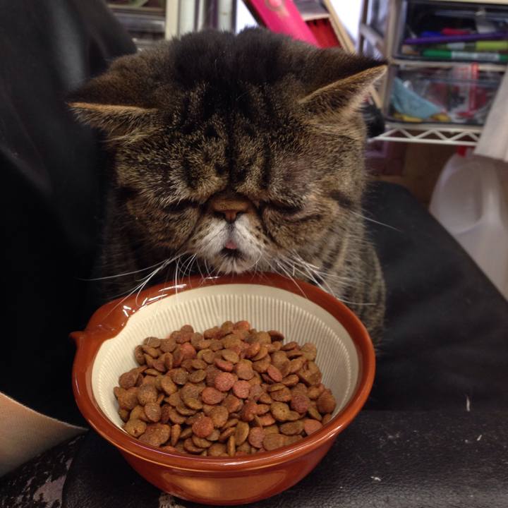 D373239a e32c 40bd 8ba4 b468dfa3c523