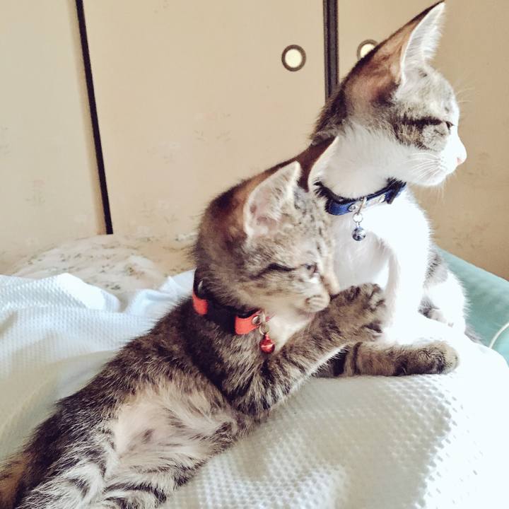 D373530e eb96 40e2 a3f0 7abec7f9a9c4