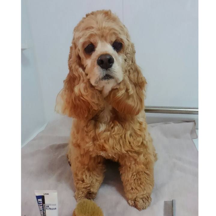 D374d742 0531 458d 8e96 9e5f97461d5e