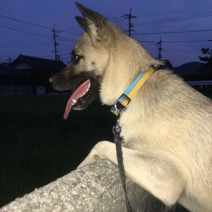 D375b663 26fd 46c1 abb8 76dadb667b1f