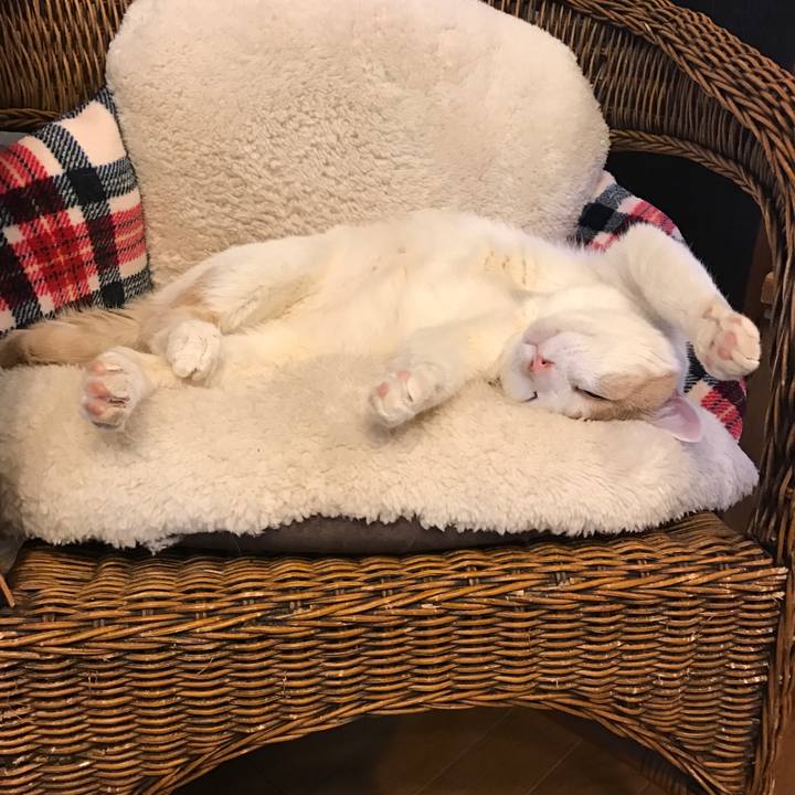 D375e830 1c99 4888 9767 32348b2d847b