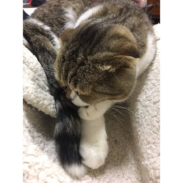 D3761288 1a66 4996 af0a 9be2f5945b42